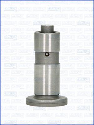 Wilmink Group WG1170651 - Poussoir de soupape droxauto.com