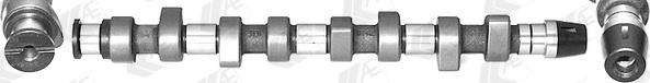 Wilmink Group WG1171906 - Arbre à came droxauto.com
