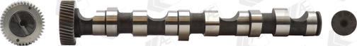 Wilmink Group WG1171924 - Arbre à came droxauto.com