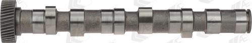 Wilmink Group WG1171923 - Arbre à came droxauto.com