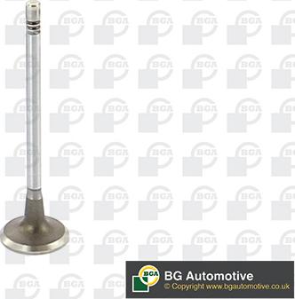 Wilmink Group WG1814449 - Soupape d'admission droxauto.com