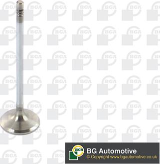 Wilmink Group WG1814447 - Soupape d'admission droxauto.com