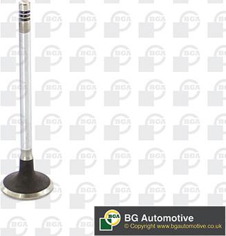 Wilmink Group WG1814451 - Soupape d'admission droxauto.com