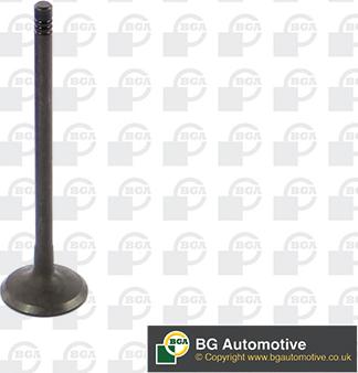 Wilmink Group WG1814466 - Soupape d'admission droxauto.com