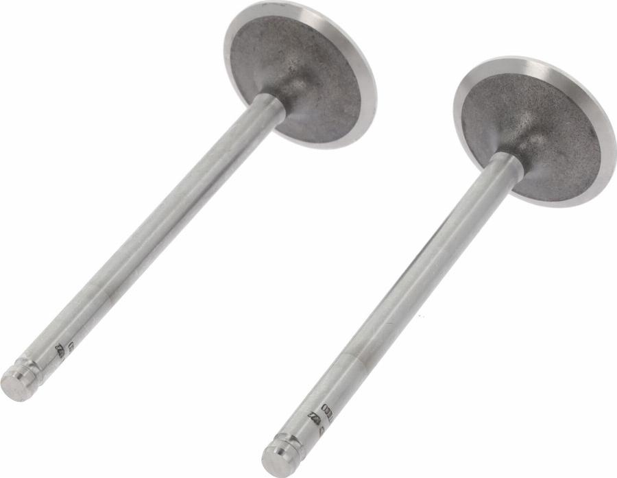 Wilmink Group WG1232953 - Soupape d'admission droxauto.com