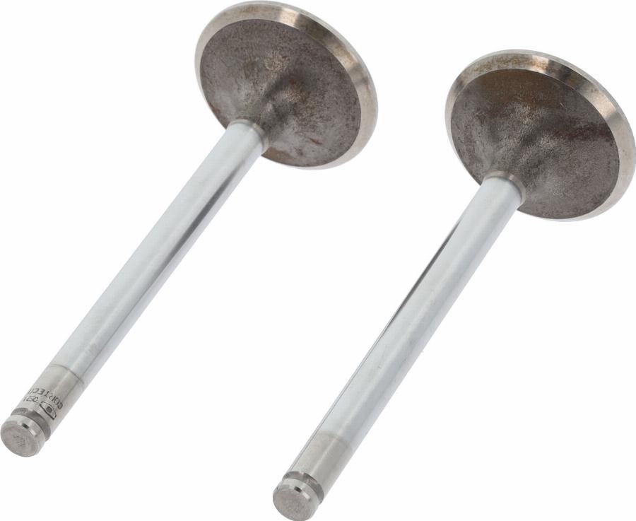 Wilmink Group WG1232925 - Soupape d'admission droxauto.com