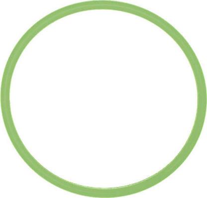 Wilmink Group WG1708607 - Joint d'étanchéité, collecteur d'admission droxauto.com