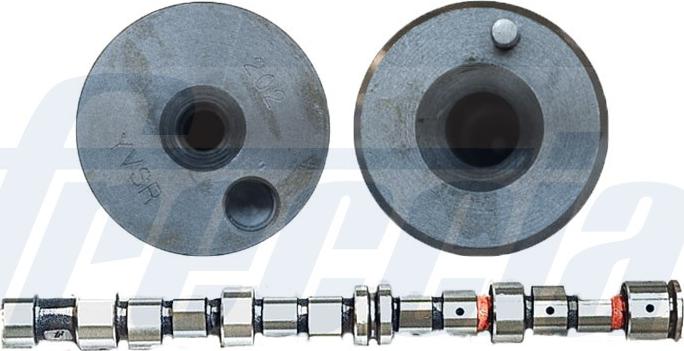 Wilmink Group WG1779066 - Arbre à came droxauto.com