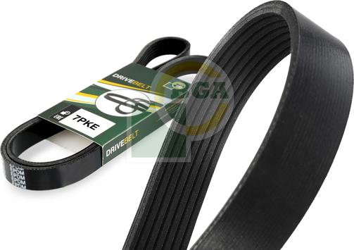 Wilmink Group WG2402715 - Courroie trapézoïdale à nervures droxauto.com