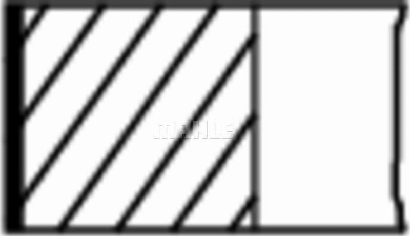 Wilmink Group WG2578560 - Jeu de segments de pistons droxauto.com