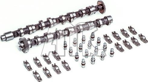 Wilmink Group WG2047301 - Jeu d'arbres à came droxauto.com