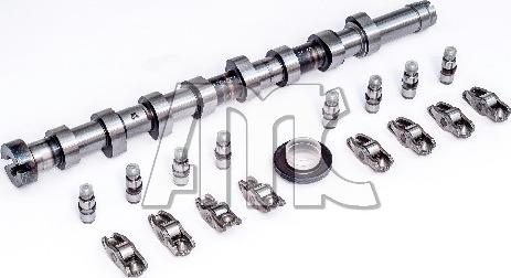 Wilmink Group WG2010594 - Jeu d'arbres à came droxauto.com