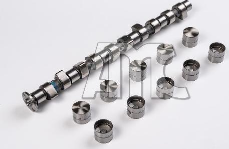 Wilmink Group WG2010548 - Jeu d'arbres à came droxauto.com