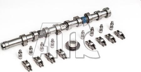 Wilmink Group WG2010568 - Jeu d'arbres à came droxauto.com