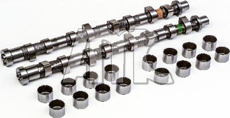 Wilmink Group WG2010571 - Jeu d'arbres à came droxauto.com