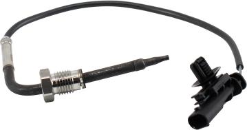 Wilmink Group WG2196232 - Capteur, température des gaz droxauto.com