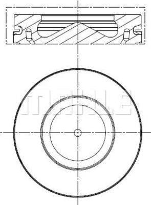 Wilmink Group WG2191767 - Piston droxauto.com