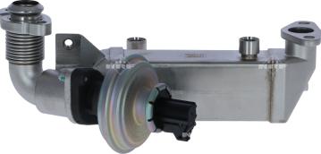 Wilmink Group WG2161839 - Vanne EGR droxauto.com