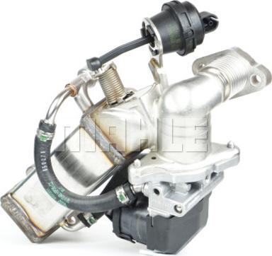 Wilmink Group WG2180231 - Radiateur, réaspiration des gaz d'échappement droxauto.com