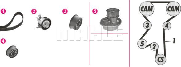 Wilmink Group WG2182161 - Pompe à eau + kit de courroie de distribution droxauto.com