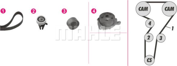 Wilmink Group WG2182167 - Pompe à eau + kit de courroie de distribution droxauto.com