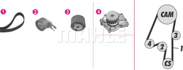 Wilmink Group WG2182108 - Pompe à eau + kit de courroie de distribution droxauto.com