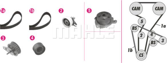 Wilmink Group WG2182112 - Pompe à eau + kit de courroie de distribution droxauto.com