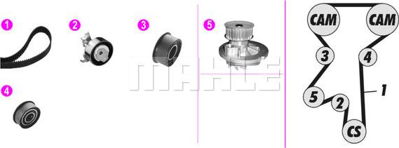 Wilmink Group WG2182189 - Pompe à eau + kit de courroie de distribution droxauto.com