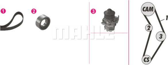 Wilmink Group WG2182203 - Pompe à eau + kit de courroie de distribution droxauto.com