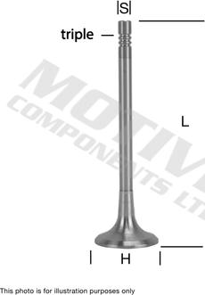 Wilmink Group WG2125812 - Soupape d'admission droxauto.com