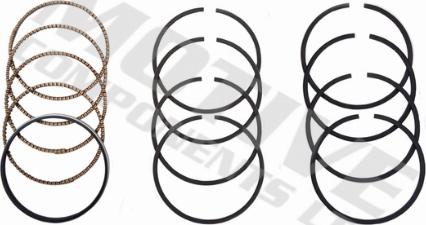 Wilmink Group WG2121598 - Jeu de segments de pistons droxauto.com