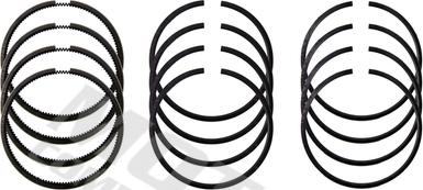 Wilmink Group WG2121528 - Jeu de segments de pistons droxauto.com