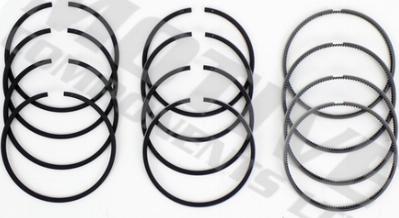 Wilmink Group WG2121604 - Jeu de segments de pistons droxauto.com