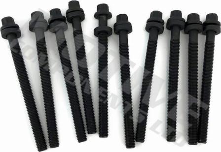 Wilmink Group WG2123099 - Jeu de boulons de culasse de cylindre droxauto.com