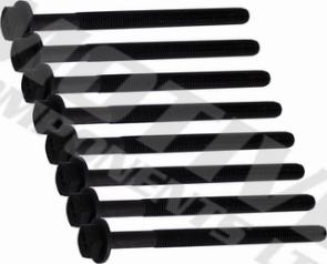 Wilmink Group WG2123150 - Jeu de boulons de culasse de cylindre droxauto.com