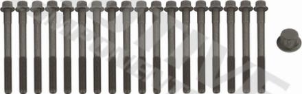 Wilmink Group WG2123163 - Jeu de boulons de culasse de cylindre droxauto.com