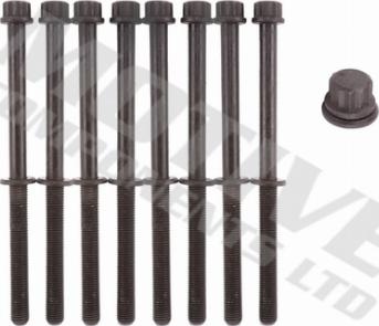 Wilmink Group WG2123292 - Jeu de boulons de culasse de cylindre droxauto.com