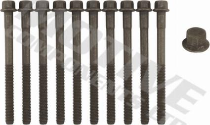 Wilmink Group WG2123263 - Jeu de boulons de culasse de cylindre droxauto.com