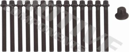 Wilmink Group WG2123214 - Jeu de boulons de culasse de cylindre droxauto.com