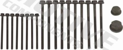 Wilmink Group WG2123287 - Jeu de boulons de culasse de cylindre droxauto.com