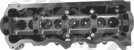 Wilmink Group WG2122515 - Culasse de cylindre droxauto.com