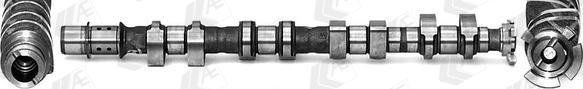 Wilmink Group WG2179554 - Arbre à came droxauto.com