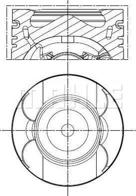 Wilmink Group WG2201017 - Piston droxauto.com