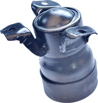 WXQP 50572 - Support moteur droxauto.com