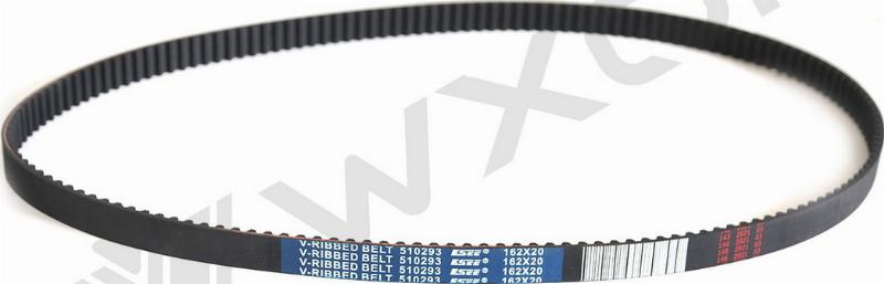 WXQP 510293 - Courroie trapézoïdale à nervures droxauto.com