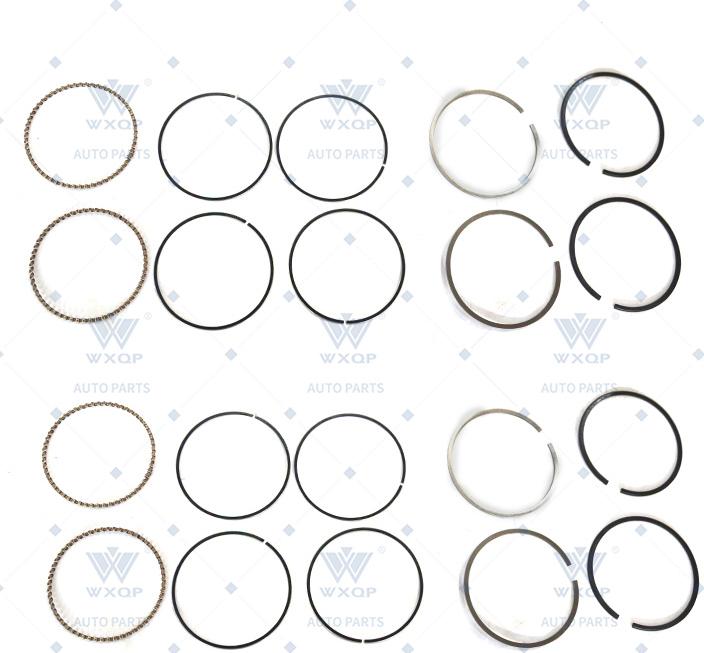 WXQP 530259 - Jeu de segments de pistons droxauto.com