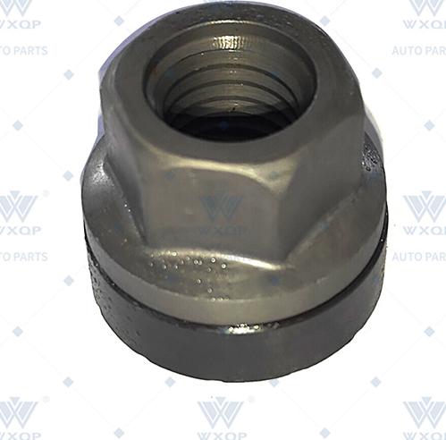 WXQP 660589 - Écrou de roue droxauto.com