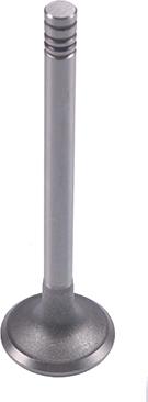 WXQP 610065 - Soupape d'admission droxauto.com