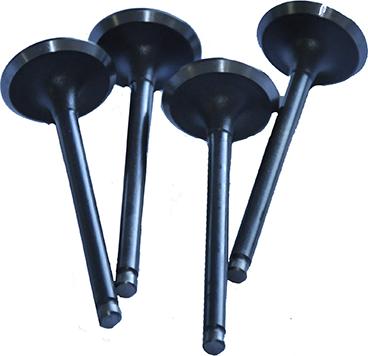 WXQP 10439 - Soupape d'admission droxauto.com