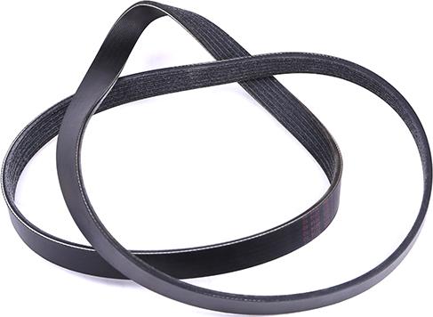 WXQP 11780 - Courroie trapézoïdale à nervures droxauto.com